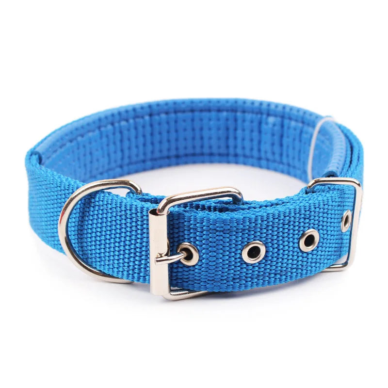 Wide Nylon Dog Collar, Small to Large Dogs