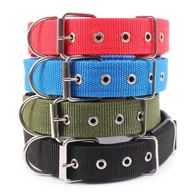Wide Nylon Dog Collar, Small to Large Dogs