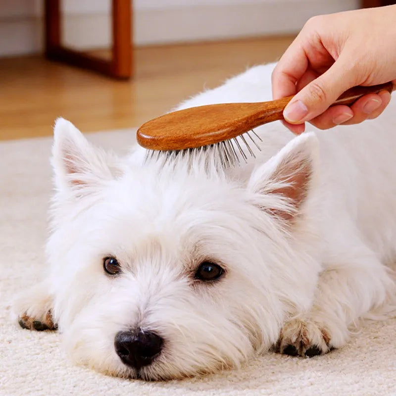 Wooden Pin Brush for Dogs and Cats
