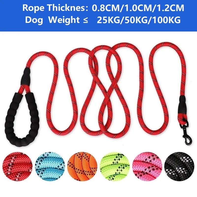 Reinforced Rope Dog Lead with Soft Handle