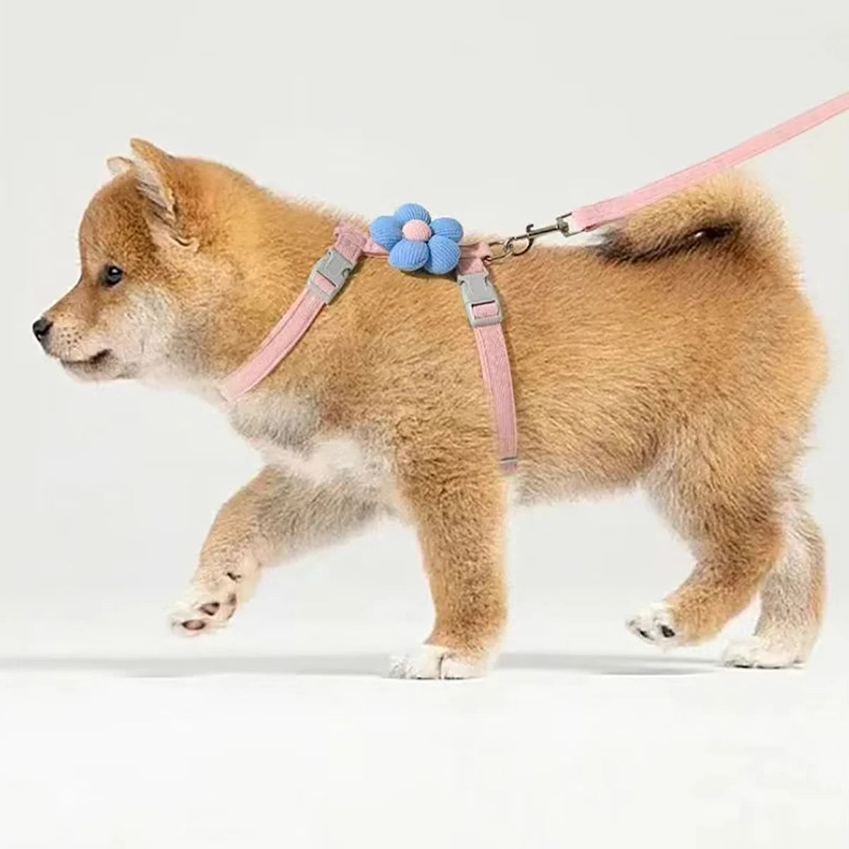 Cute Harness and Lead Set for Cats and Small Dogs
