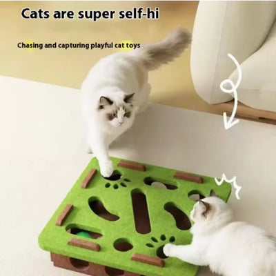 Felt Puzzle Maze Cat Toy with Ball