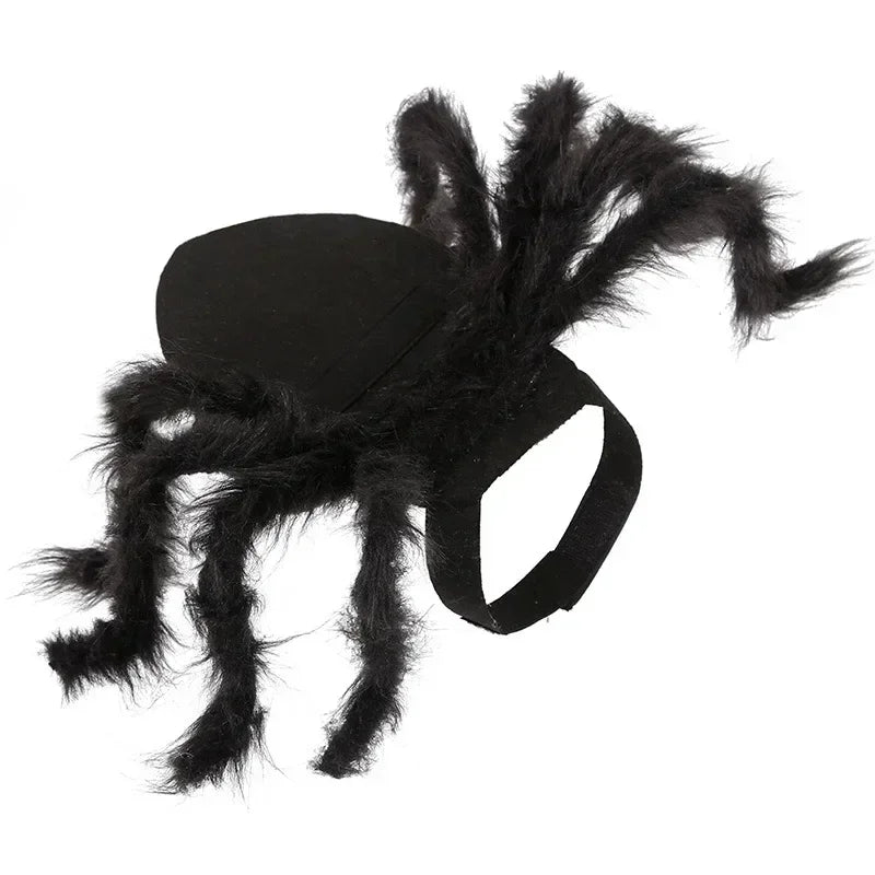 Spider Halloween Costume for Dogs and Cats - S