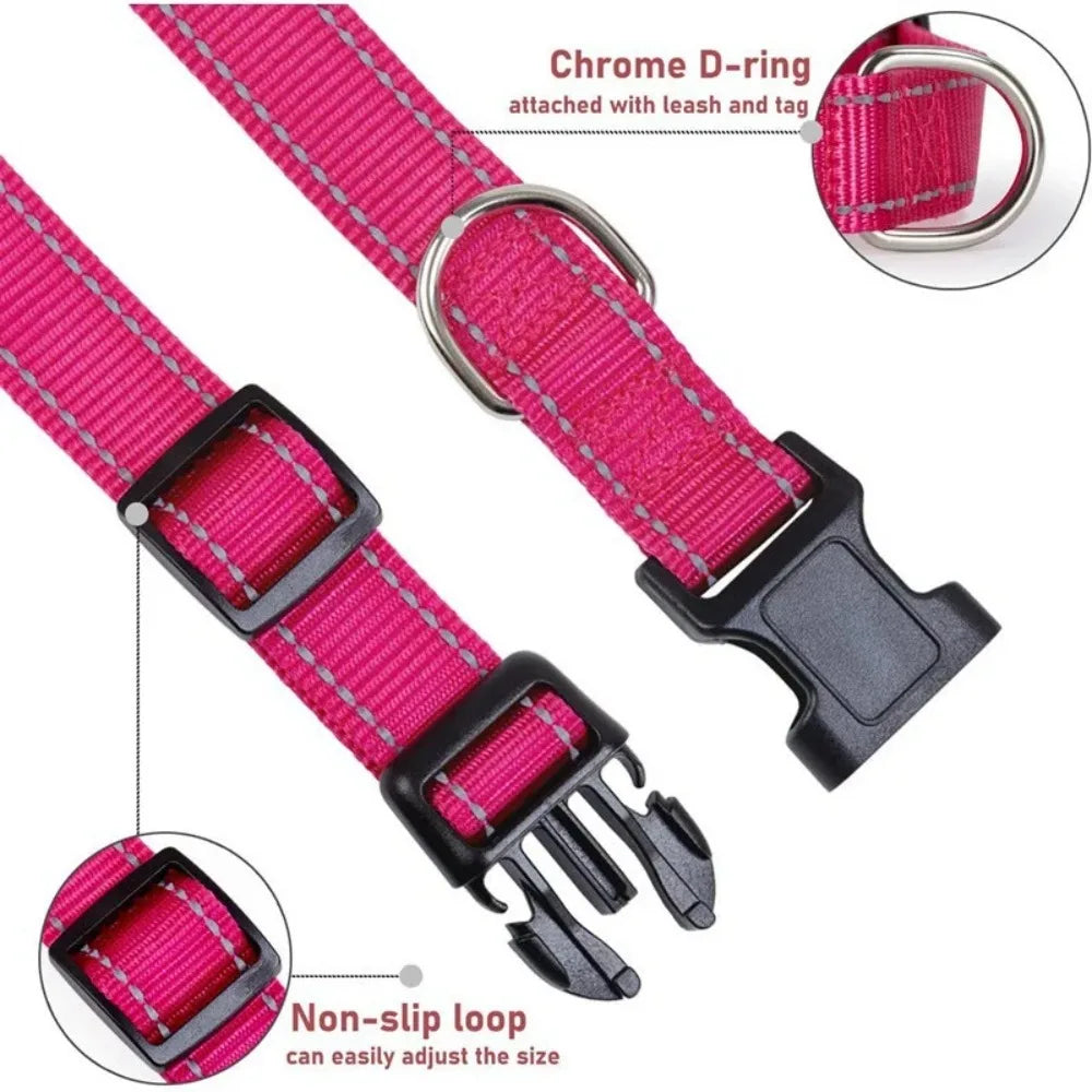 Padded Neoprene Dog Collar