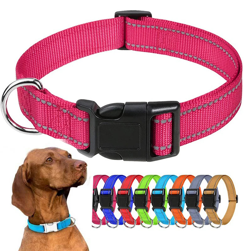 Nylon Dog Collar with Quick-Release Buckle