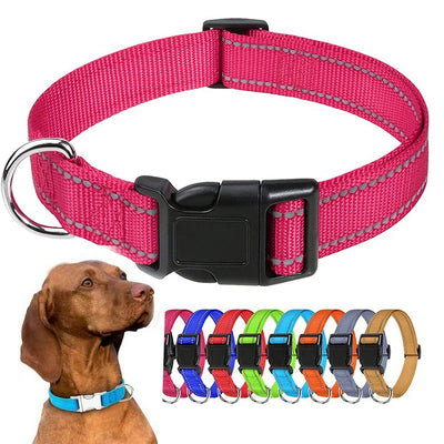 Nylon Dog Collar with Quick-Release Buckle
