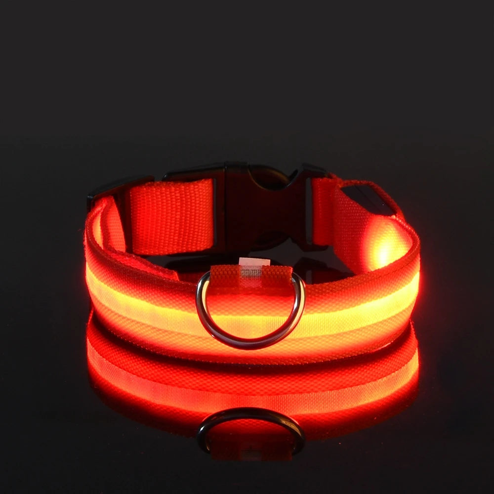 LED Light-Up Dog Collar, Flashing Night Safety Collar - Red / L