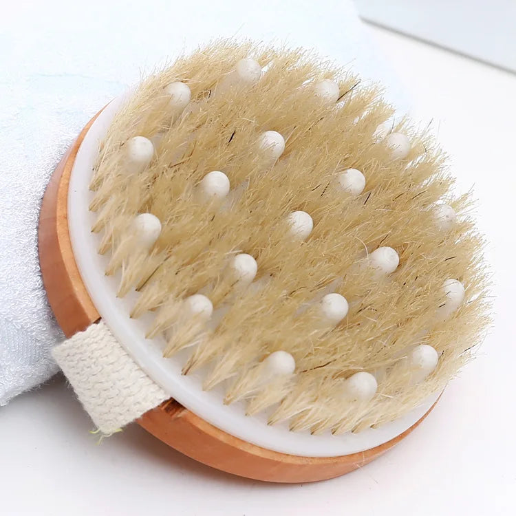 Natural Bristle Pet Bath Brush - Round, with massage nubs
