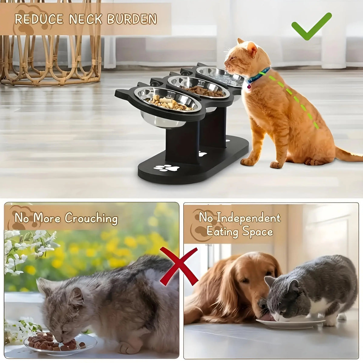 Tilted Stainless Steel Cat Bowls on Wooden Stand