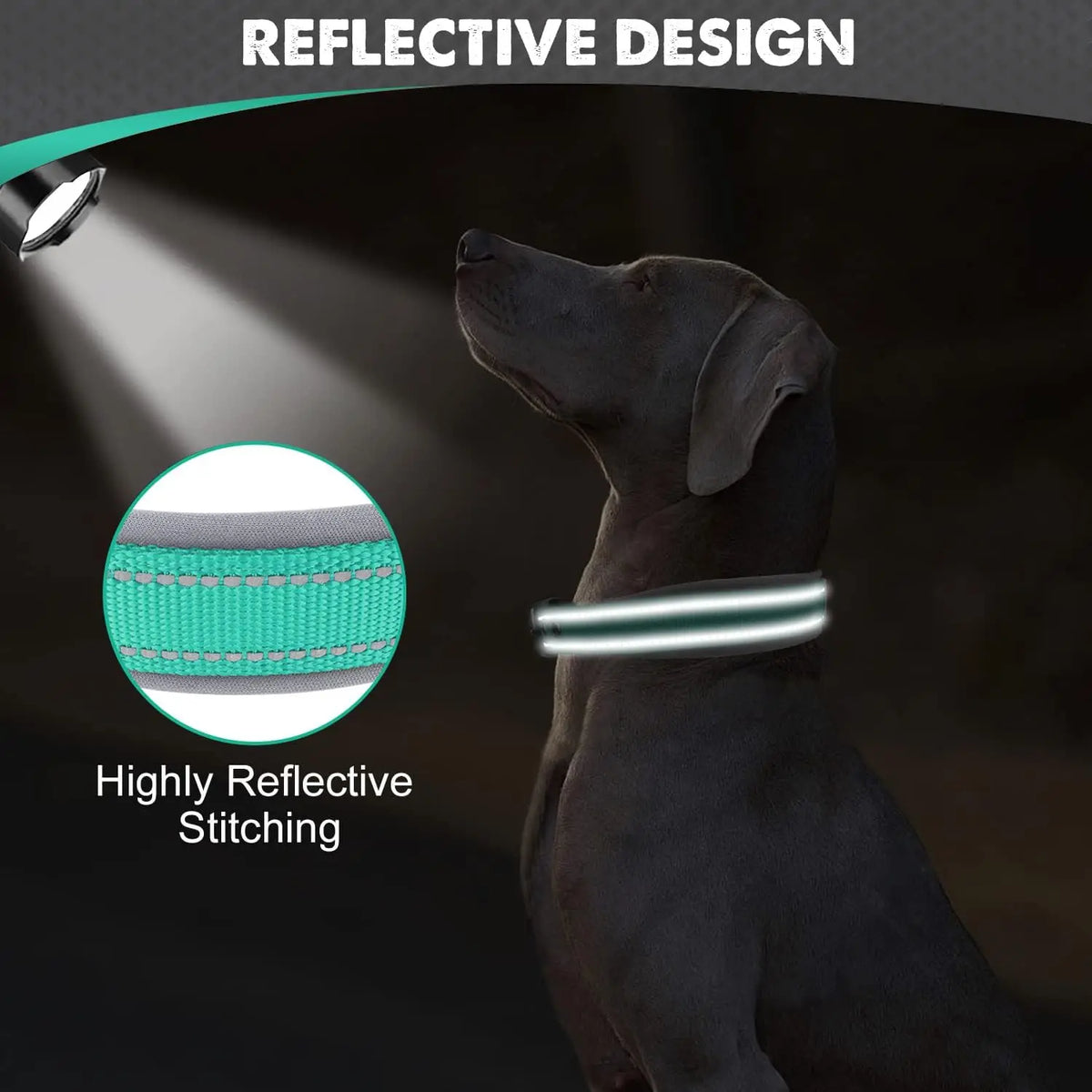 Padded Reflective Dog Collar