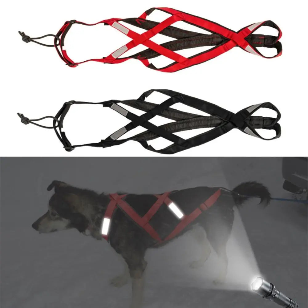 Sled and Canicross Pulling Harness