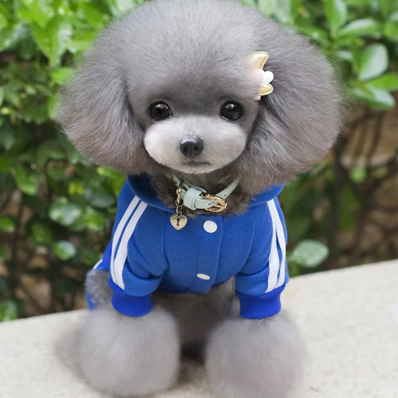 Hooded Tracksuit Jumpsuit for Small Dogs
