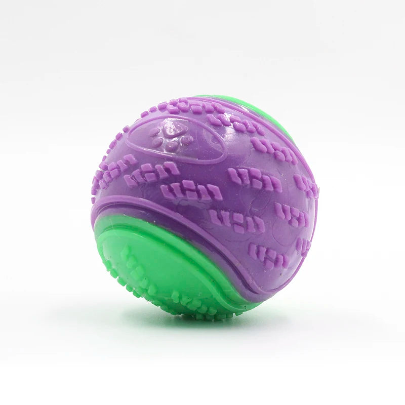 Squeaky TPR Dog Ball - Purple