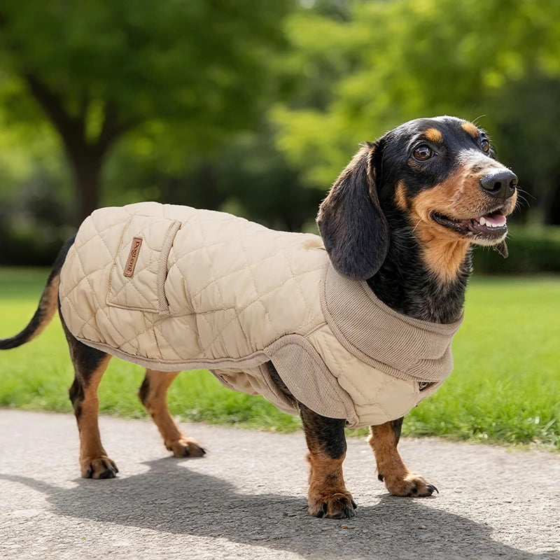 Quilted Winter Coat for Dachshunds