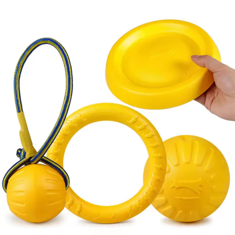 Foam Ring, Disc and Ball Fetch Toys