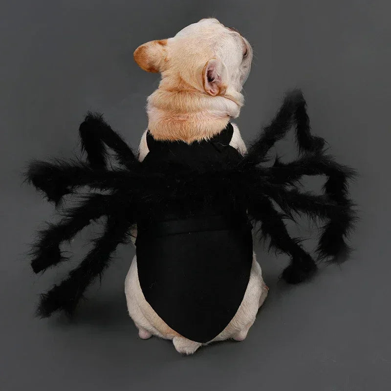 Spider Halloween Costume for Dogs and Cats