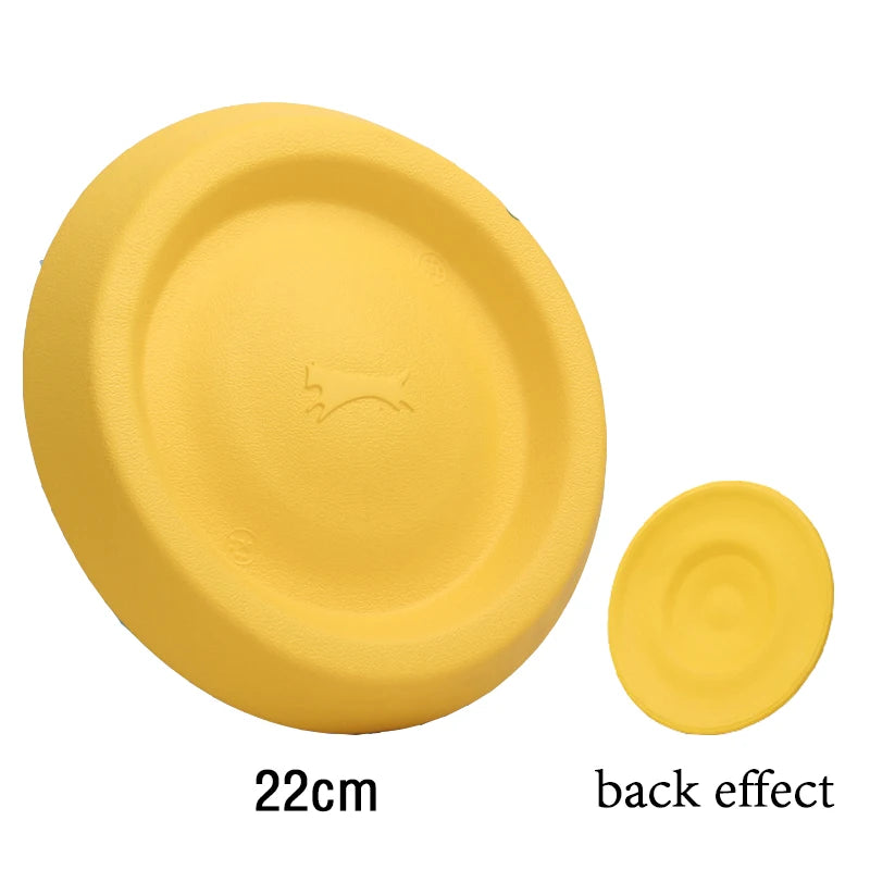 Foam Ring, Disc and Ball Fetch Toys - Flying disc, 22 cm