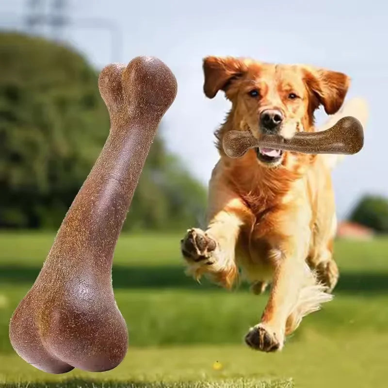Tough Nylon Bone for Chewers