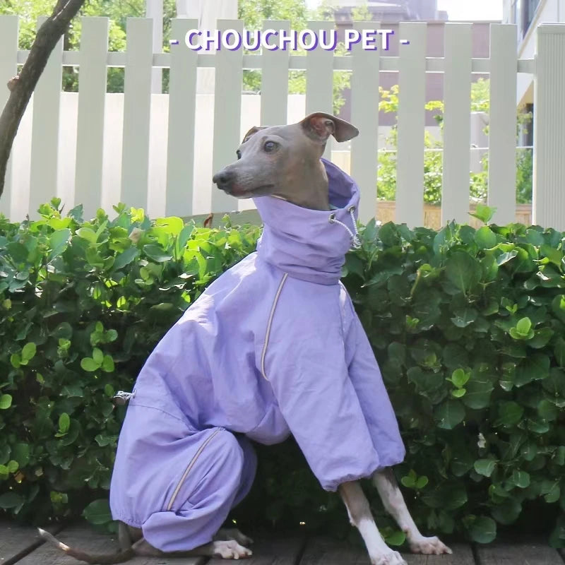 Raincoat for Greyhounds and Whippets - Purple / S (3.5 to 4.5 kg)