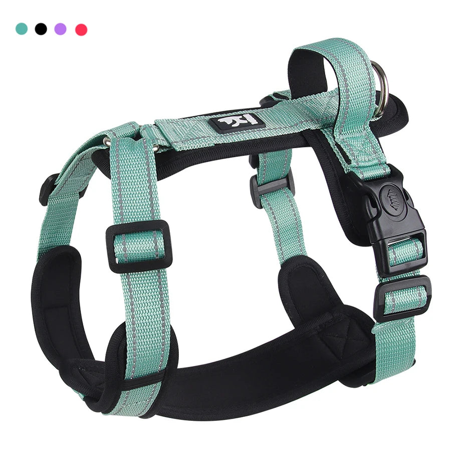 Padded Dog Harness with Handle, Lead Option