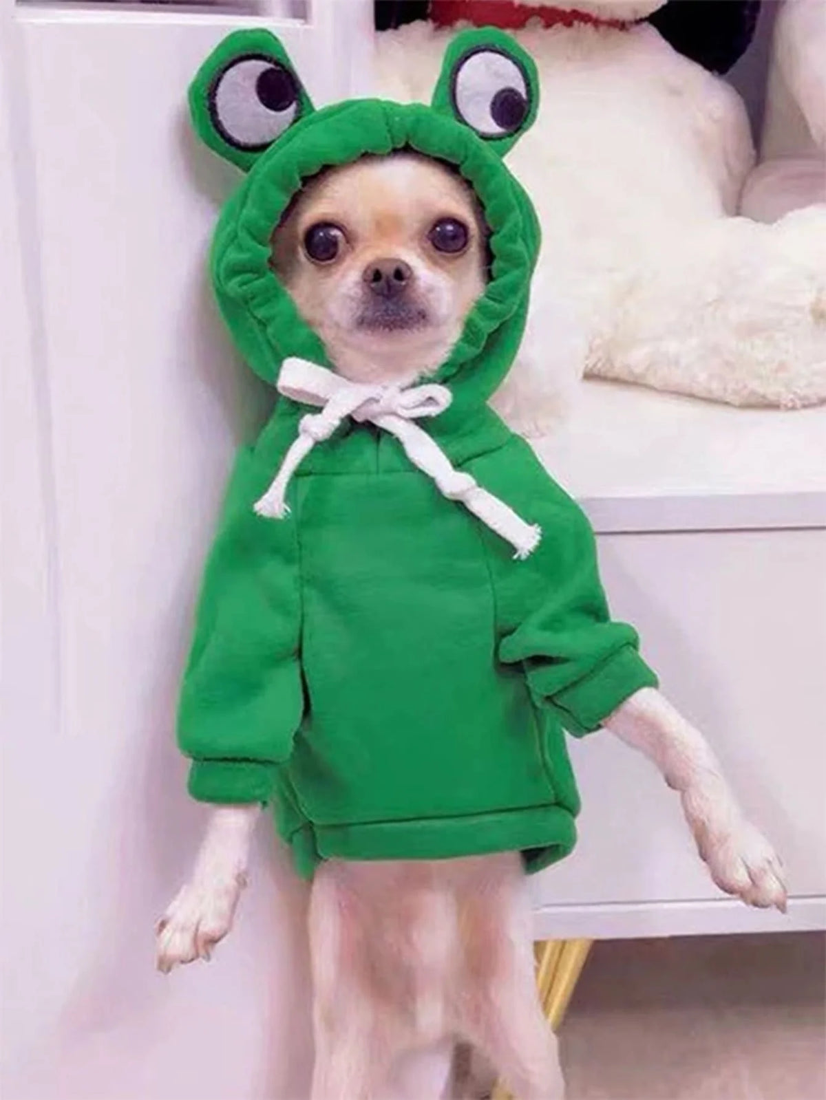 Green Frog Hoodie for Small Dogs