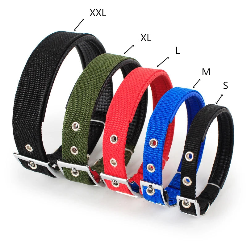 Wide Nylon Dog Collar, Small to Large Dogs