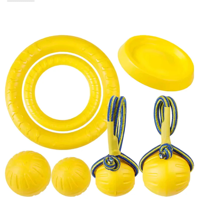 Foam Ring, Disc and Ball Fetch Toys