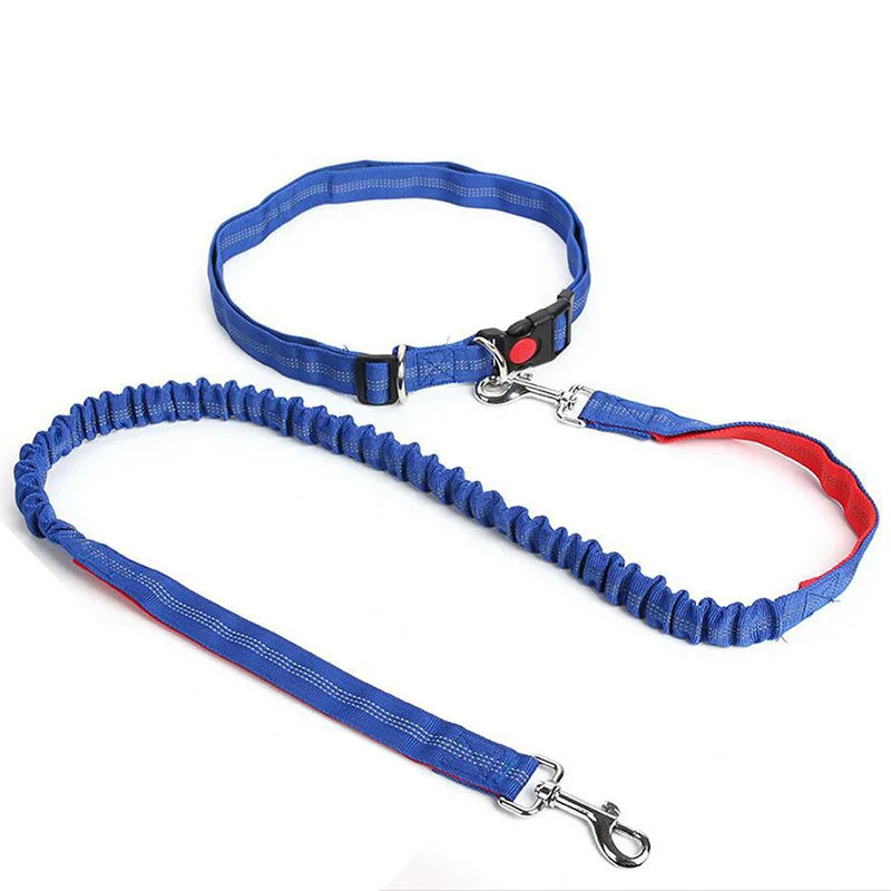 Hands-Free Waist Lead - Blue
