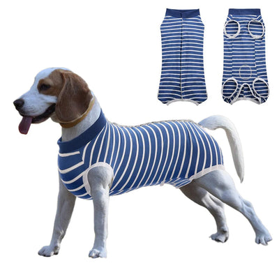 Dog Recovery Suit