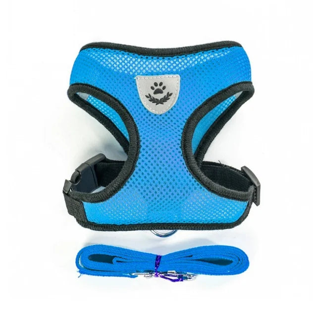 Mesh Vest Harness and Lead Set for Cats and Small Dogs - Blue / M