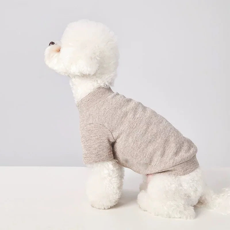 Dachshund Jumper