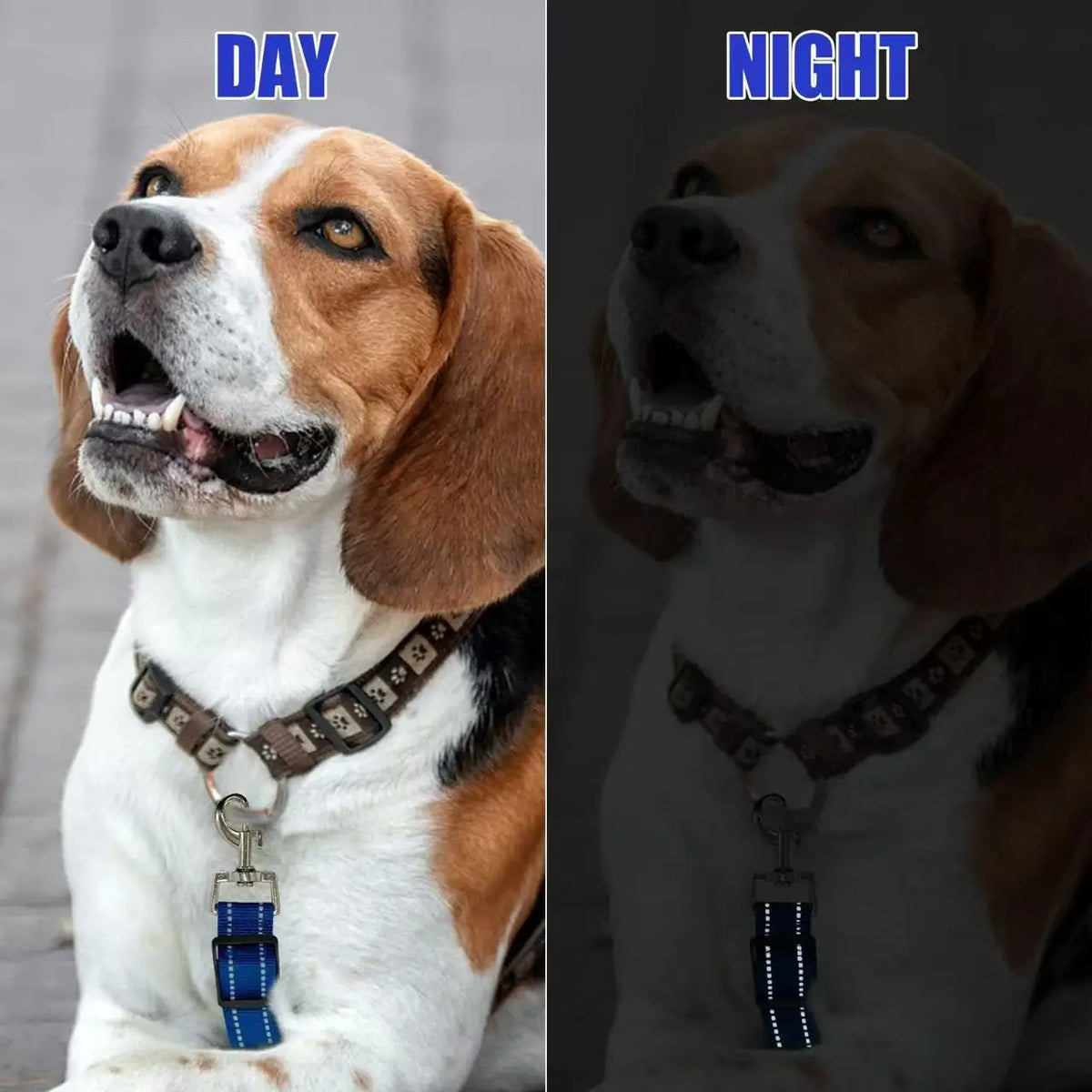 Collar to Harness Safety Clip