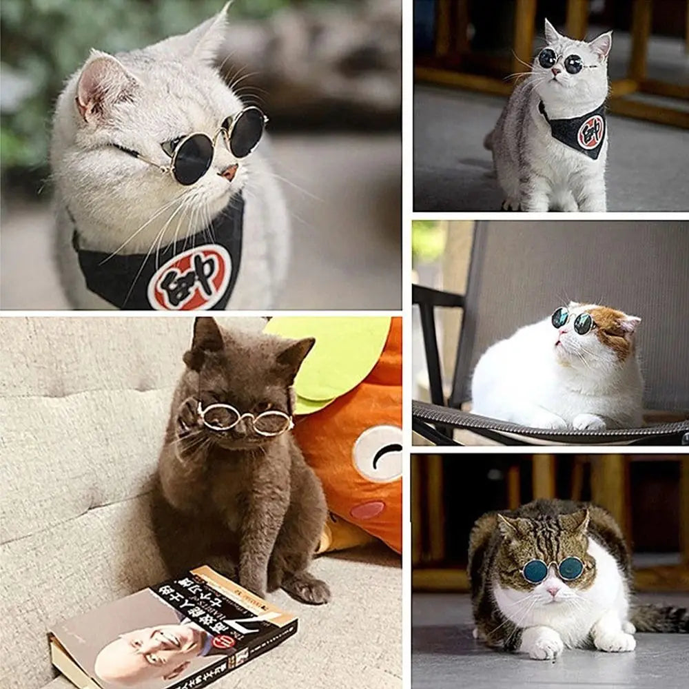 Heart-Shaped Pet Sunglasses