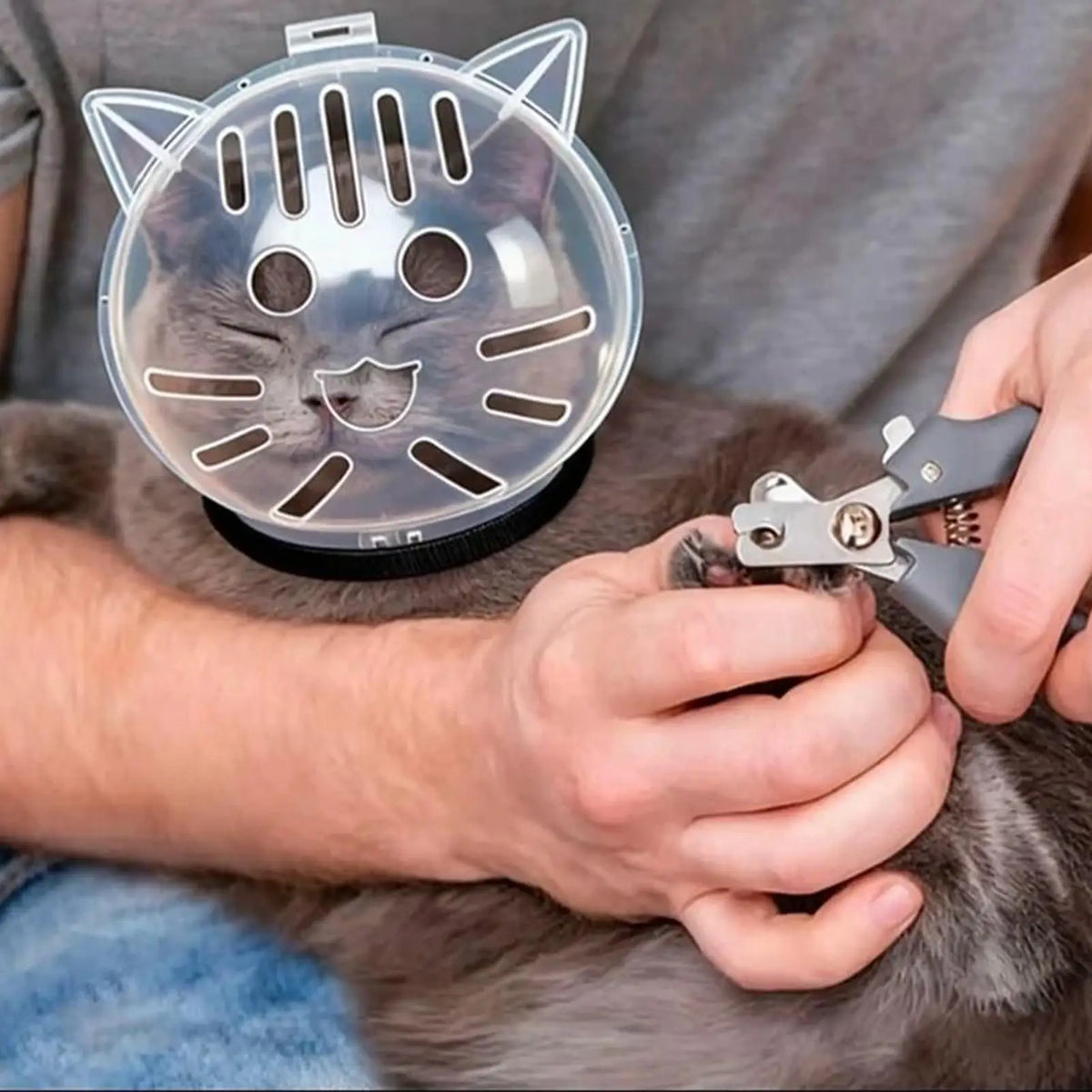 Clear Bubble Grooming Helmet for Cats