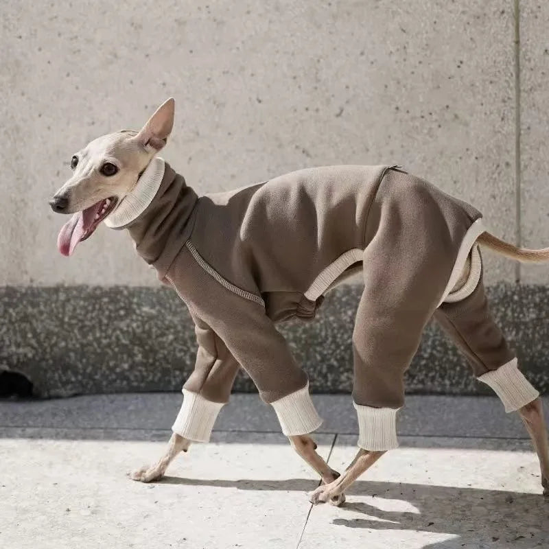 High-Neck Four-Leg Jumper for Greyhounds and Whippets