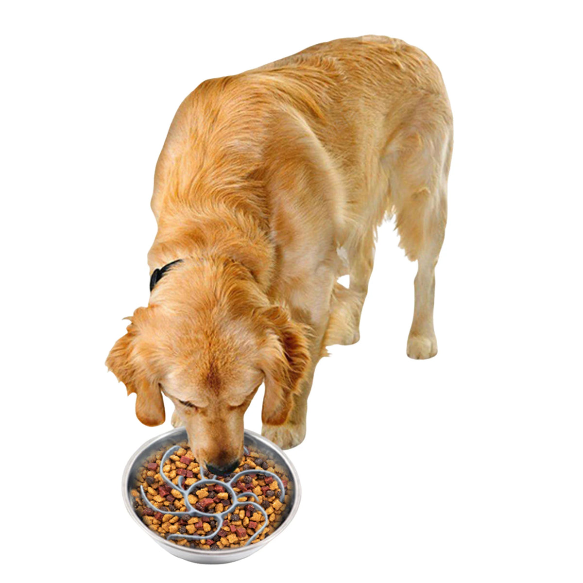 Slow Feeder Insert for Dog Bowls