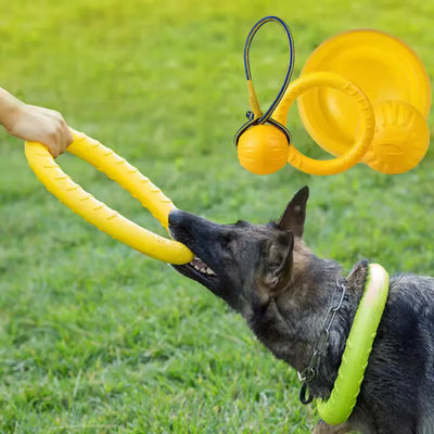 Foam Ring, Disc and Ball Fetch Toys