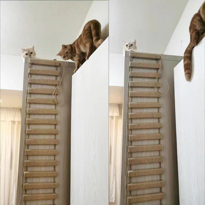 Wooden Cat Ladder Bridge