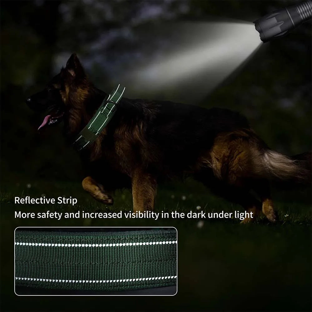Heavy-Duty Tactical Dog Collar