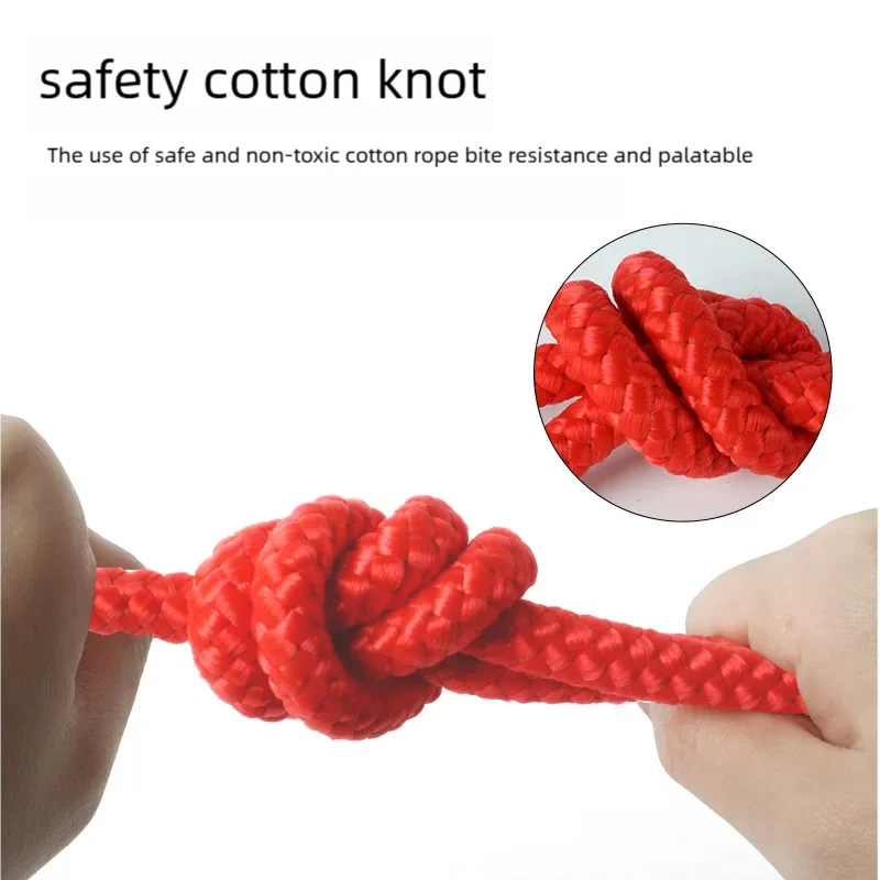 Ball on a Rope Dog Toy