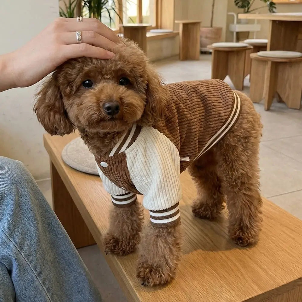 Corduroy Baseball Jacket for Dogs