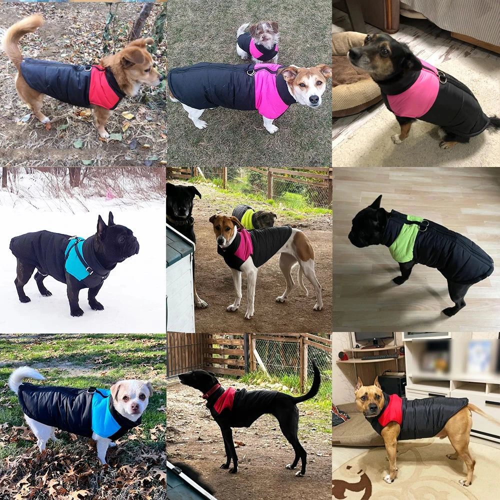 Padded Winter Dog Vest