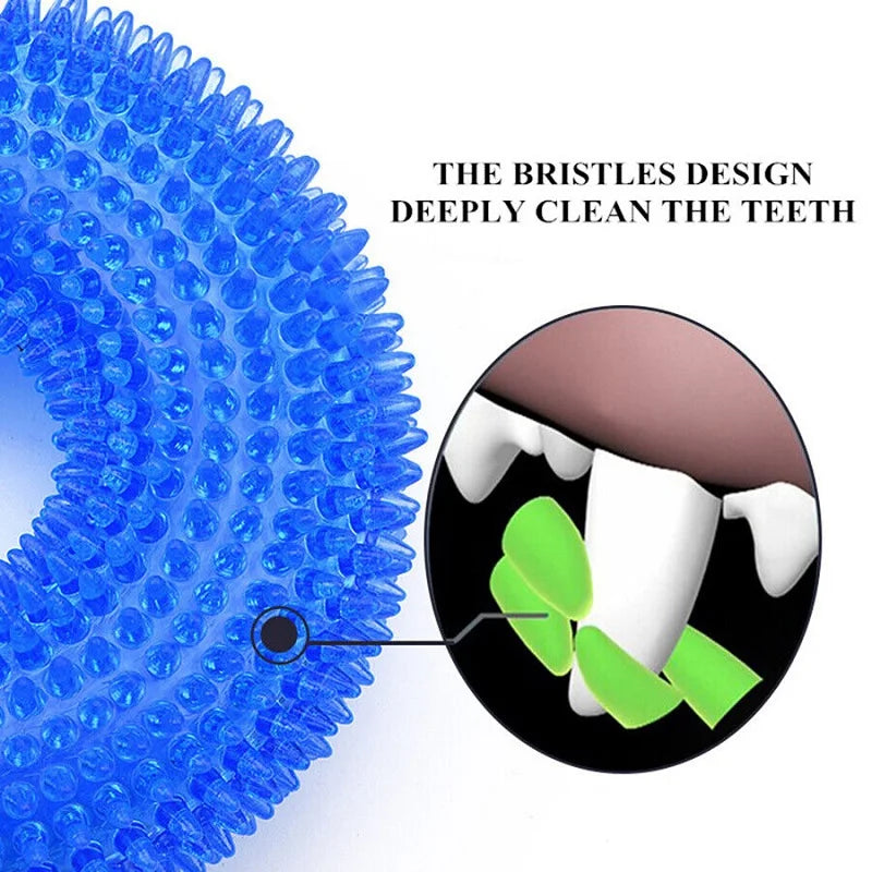 Spiky Ring Squeaky Chew Toy