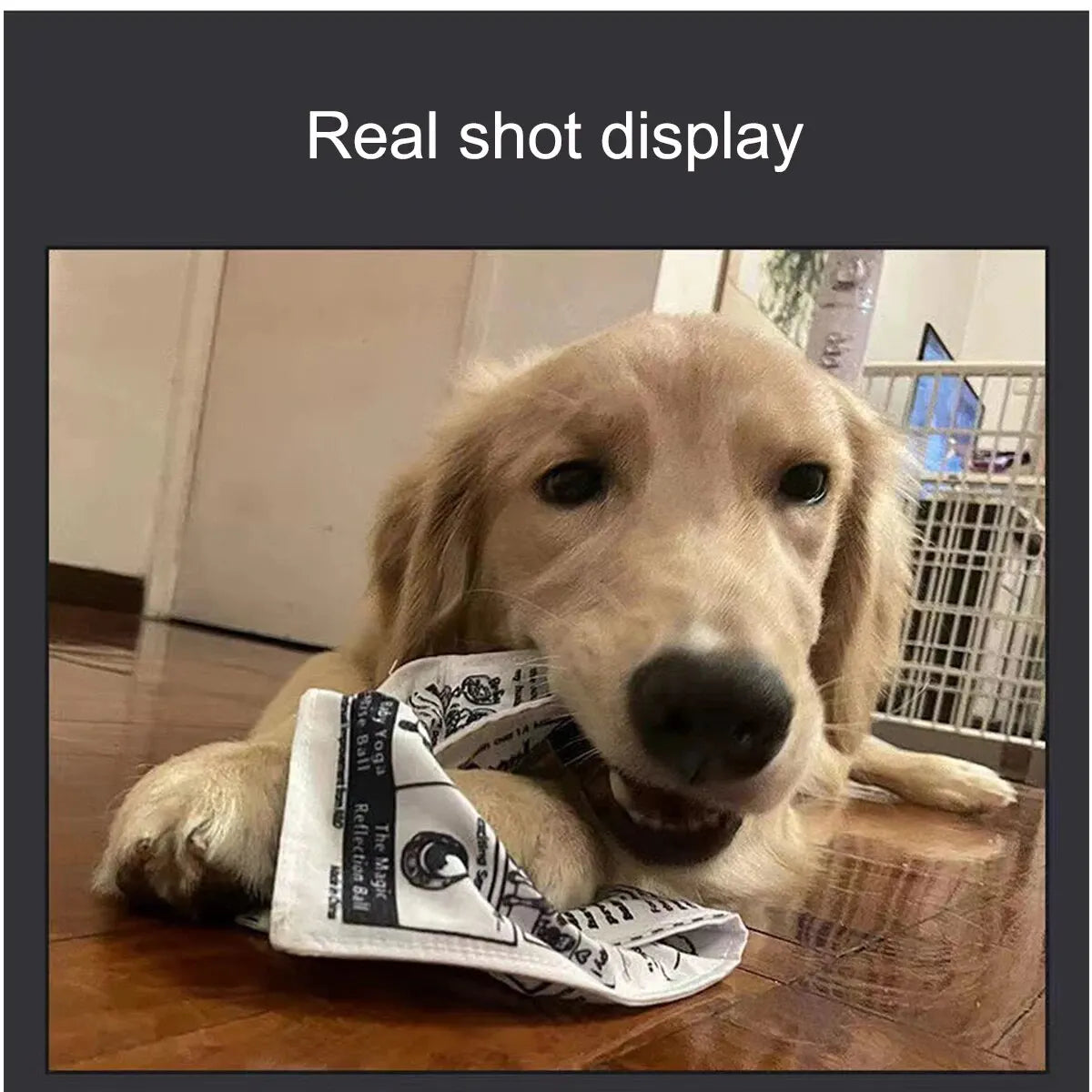 Crinkle Newspaper Dog Toy