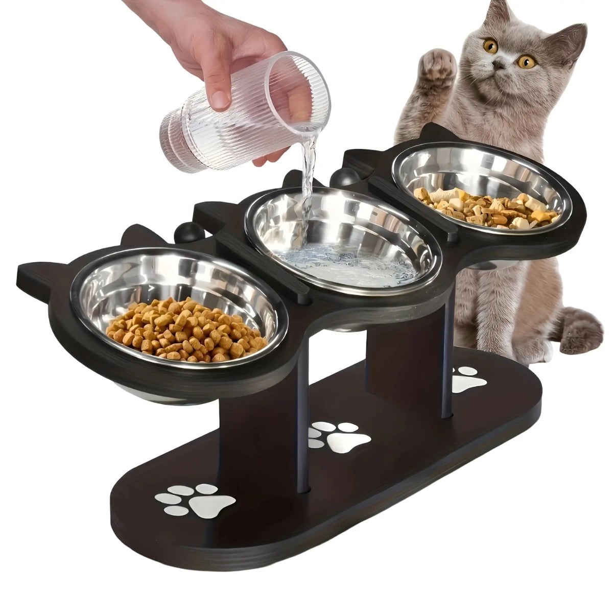 Tilted Stainless Steel Cat Bowls on Wooden Stand