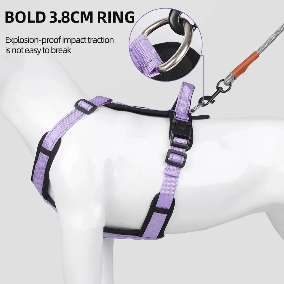 Padded Dog Harness with Handle, Lead Option