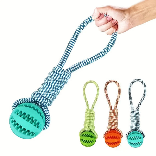 Rope Tug Toy with Treat Ball