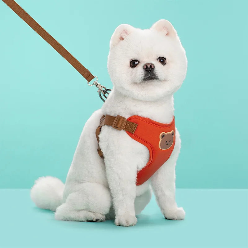 Plaid Harness and Lead Set for Small Dogs and Cats - Red / XS