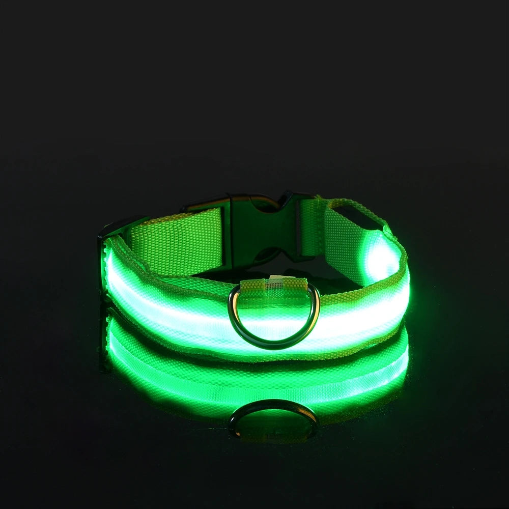 LED Light-Up Dog Collar, Flashing Night Safety Collar - Green / XL
