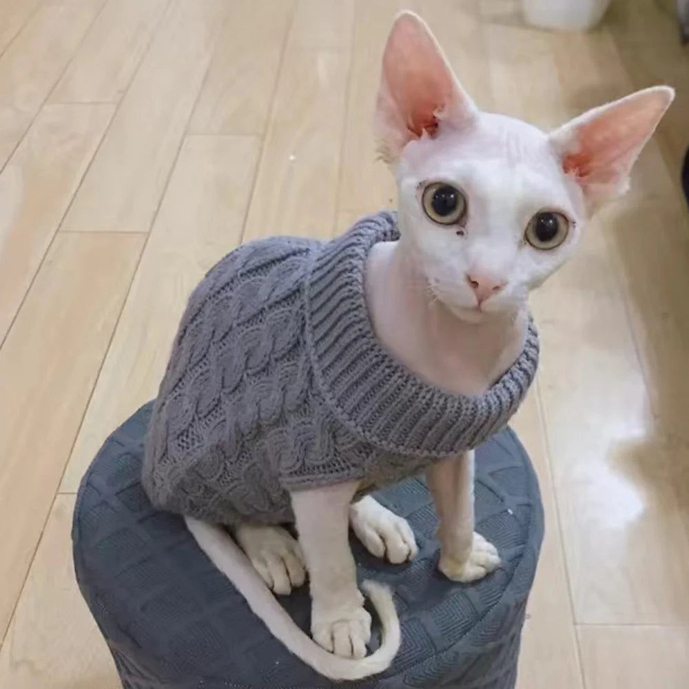 Cable-Knit Jumper for Sphynx and Small Cats